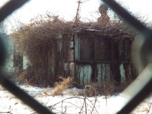 Surviving Euclid Beach Park cottages as of 2/10/25