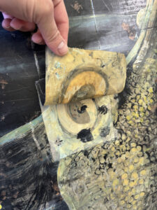 For reasons which are currently unknown to me, the eyes of the Laff-In-The-Dark Octopus are painted onto flaps (2 of 3)